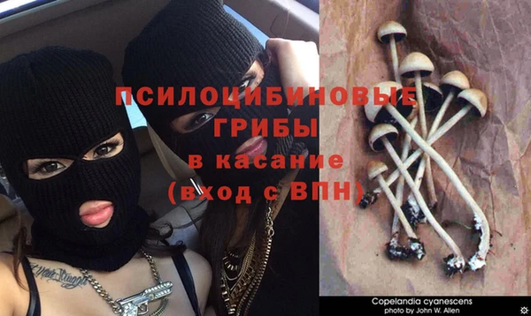 ешки Балахна