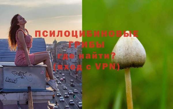 ешки Балахна